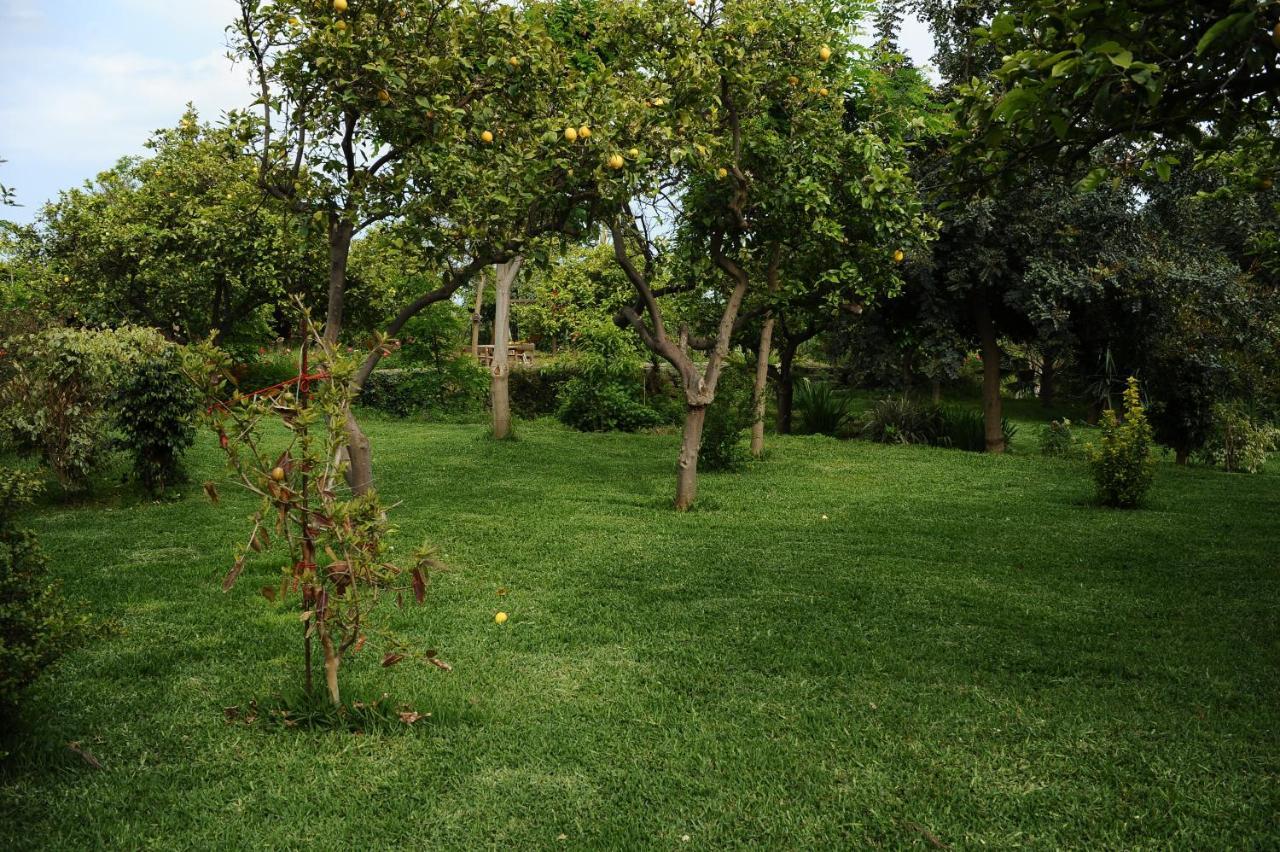 Tenuta Santa Tecla Acireale Kültér fotó
